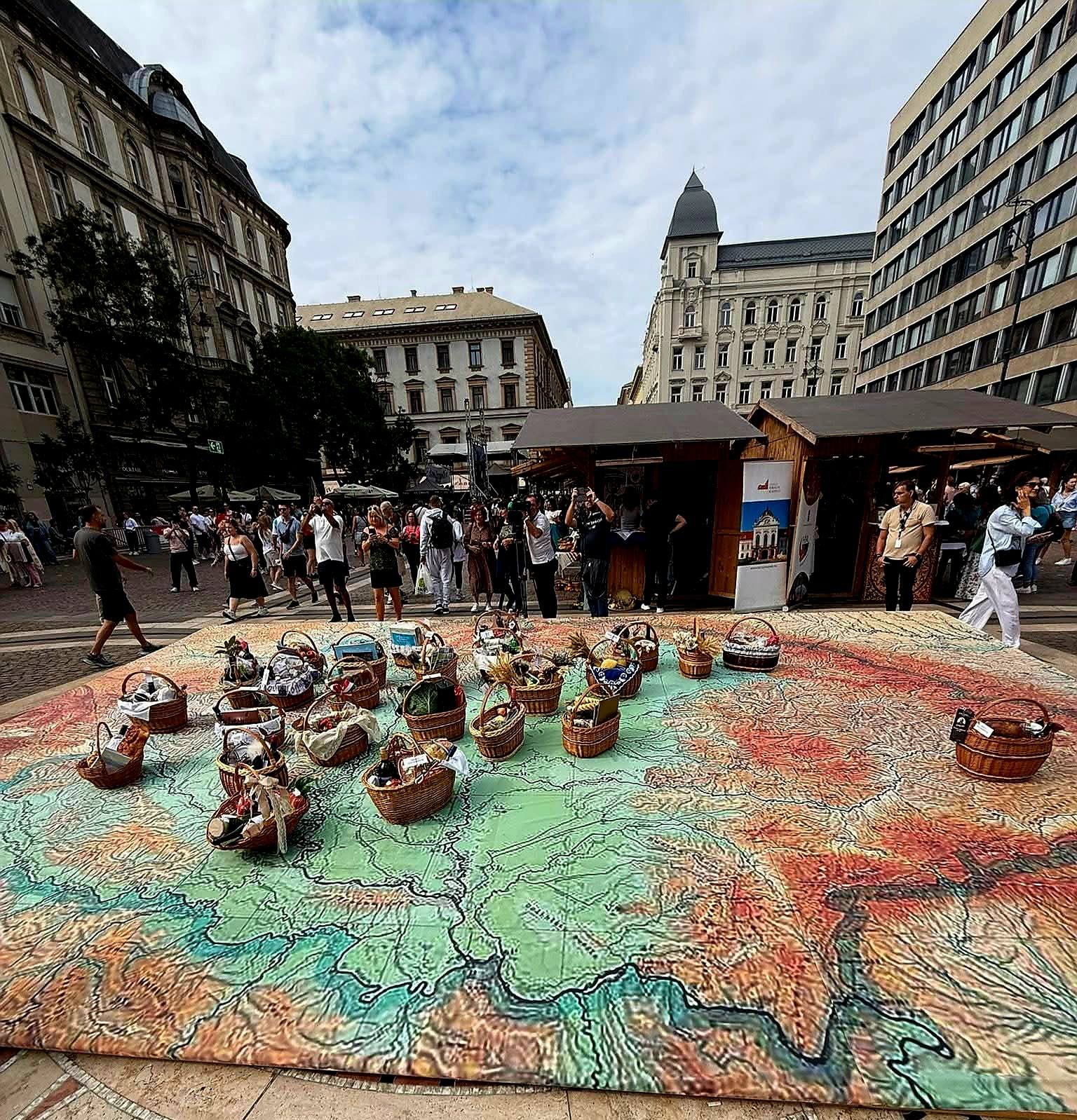 546982760_3343410995797136_4081829931868437105_n